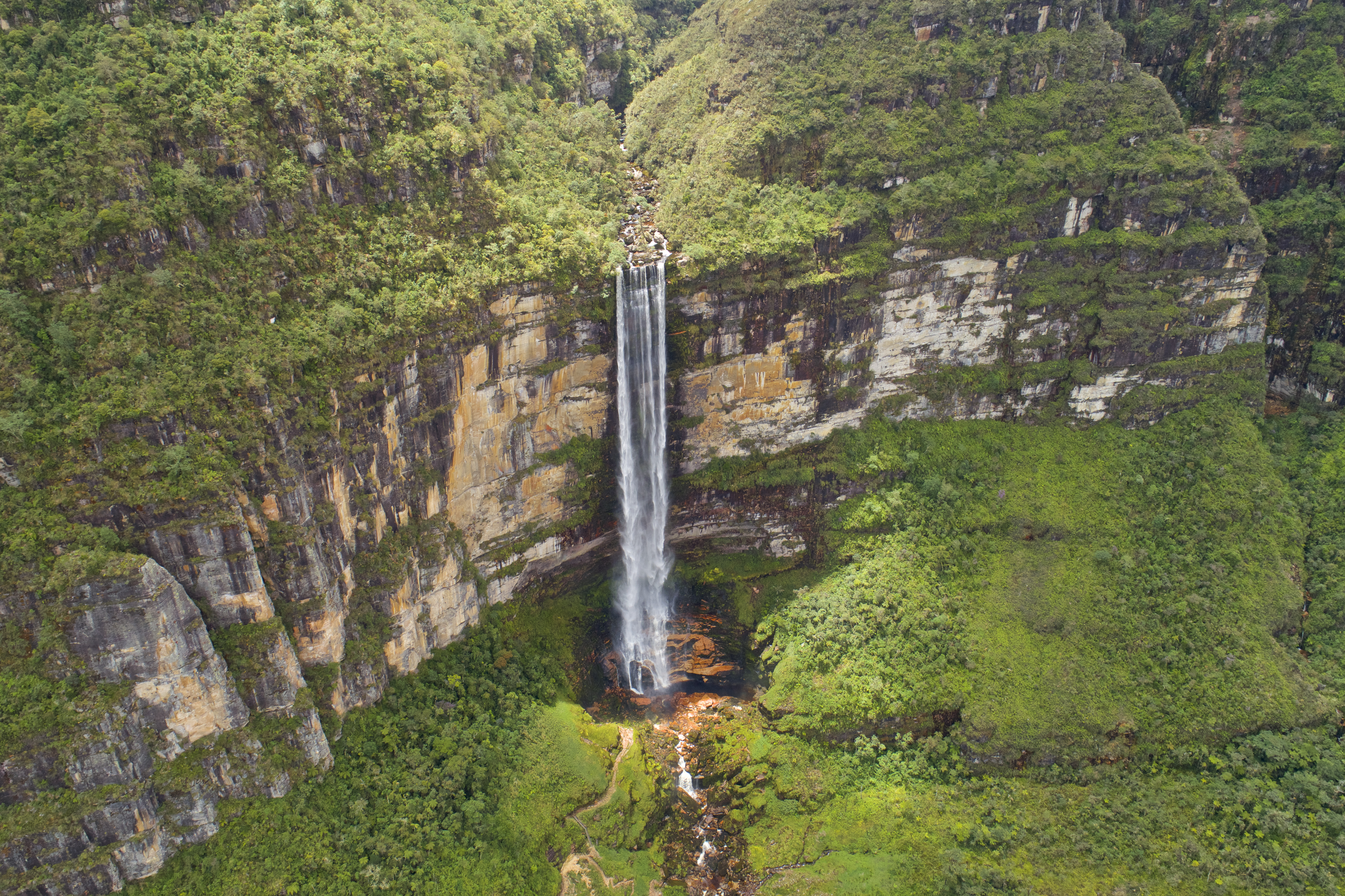 Naturaleza